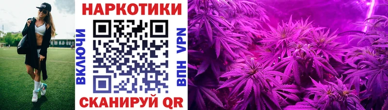 Какие есть наркотики Очёр Гашиш  Канабис  А ПВП  Вейп ТГК  Мефедрон 