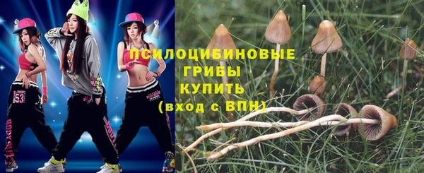 spice Армянск